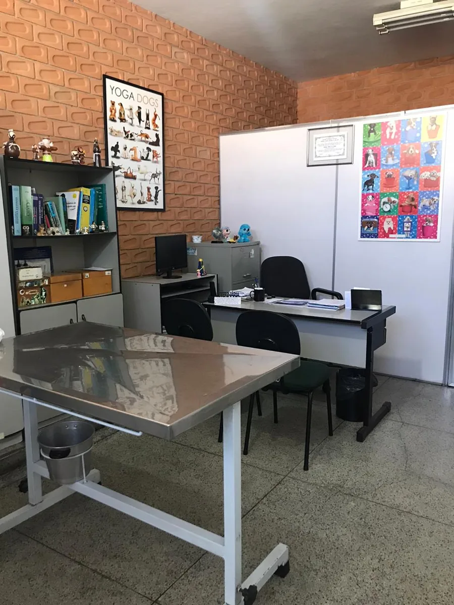 Sala de procedimentos da Bichos & Mimos com mesa de a&ccedil;o inox e ambiente preparado para pequenas cirurgias em Pindamonhangaba