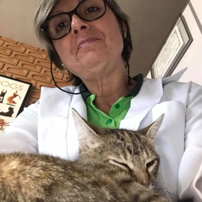 Veterin&aacute;ria segurando um gato no colo durante consulta cl&iacute;nica na Bichos & Mimos, em Pindamonhangaba